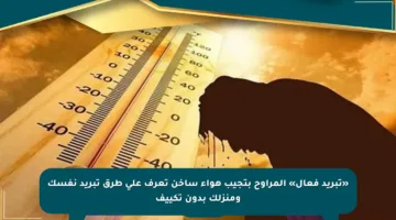 «تبريد فعال» المراوح بتجيب هواء ساخن تعرف على طرق تبريد نفسك ومنزلك بدون تكييف